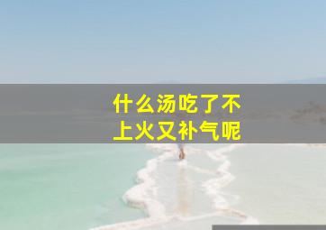 什么汤吃了不上火又补气呢