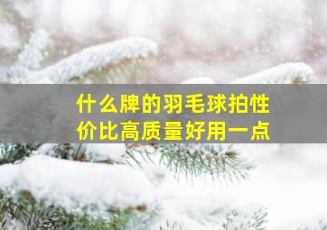 什么牌的羽毛球拍性价比高质量好用一点