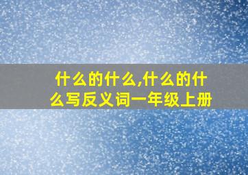 什么的什么,什么的什么写反义词一年级上册