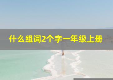 什么组词2个字一年级上册