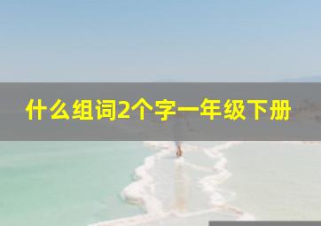 什么组词2个字一年级下册