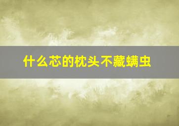 什么芯的枕头不藏螨虫