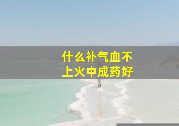 什么补气血不上火中成药好