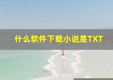 什么软件下载小说是TXT