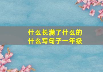 什么长满了什么的什么写句子一年级