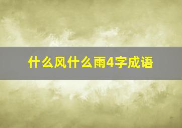 什么风什么雨4字成语