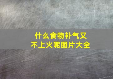 什么食物补气又不上火呢图片大全