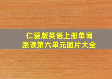 仁爱版英语上册单词跟读第六单元图片大全