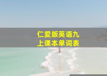 仁爱版英语九上课本单词表