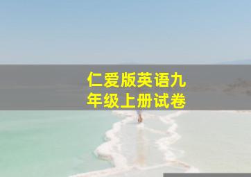 仁爱版英语九年级上册试卷