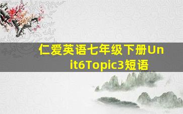 仁爱英语七年级下册Unit6Topic3短语