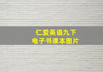 仁爱英语九下电子书课本图片