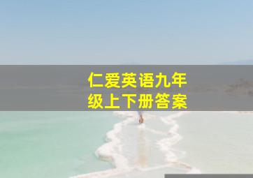 仁爱英语九年级上下册答案