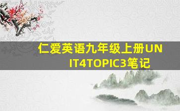 仁爱英语九年级上册UNIT4TOPIC3笔记