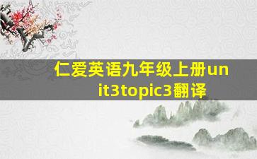 仁爱英语九年级上册unit3topic3翻译