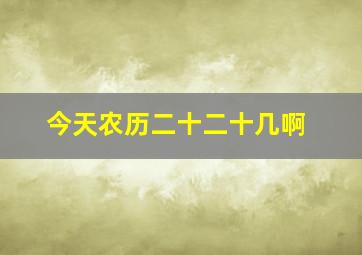 今天农历二十二十几啊