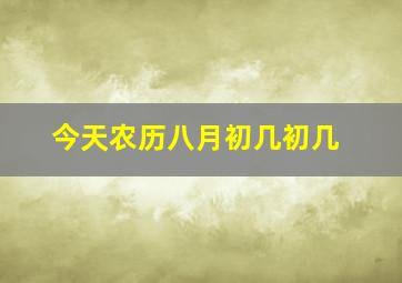 今天农历八月初几初几