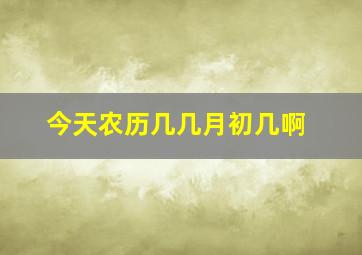 今天农历几几月初几啊