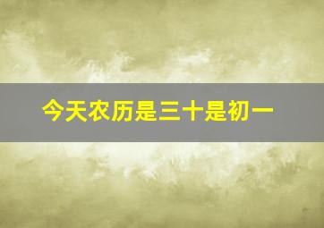 今天农历是三十是初一