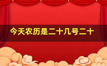 今天农历是二十几号二十