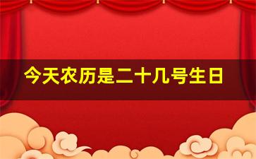 今天农历是二十几号生日