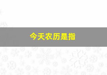 今天农历是指