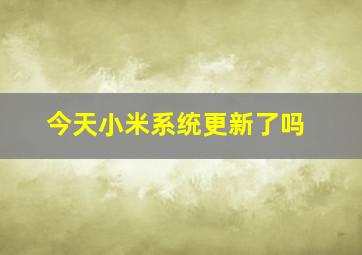 今天小米系统更新了吗