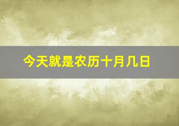 今天就是农历十月几日