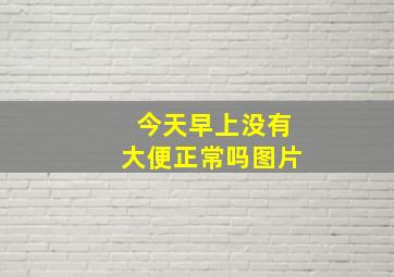 今天早上没有大便正常吗图片