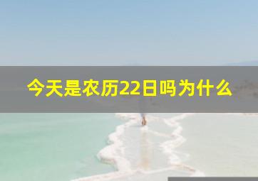 今天是农历22日吗为什么