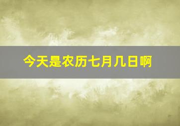 今天是农历七月几日啊