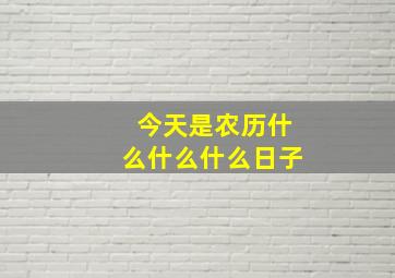 今天是农历什么什么什么日子