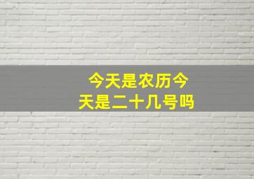 今天是农历今天是二十几号吗