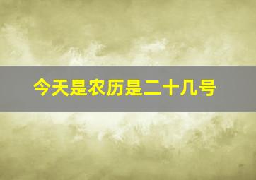 今天是农历是二十几号