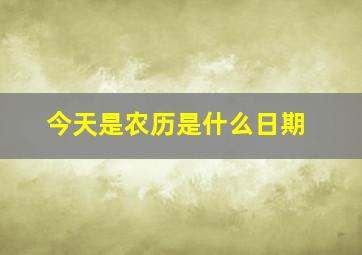 今天是农历是什么日期