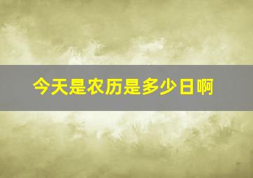 今天是农历是多少日啊