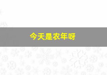 今天是农年呀