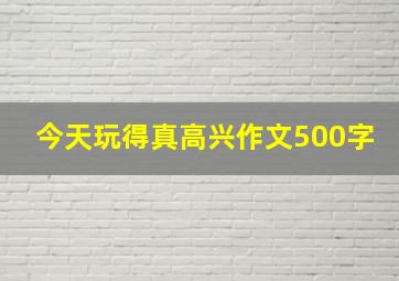 今天玩得真高兴作文500字