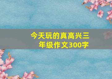 今天玩的真高兴三年级作文300字