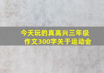 今天玩的真高兴三年级作文300字关于运动会