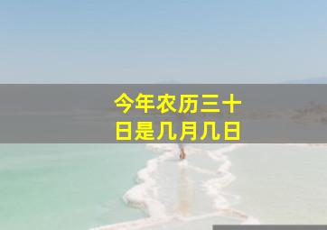 今年农历三十日是几月几日