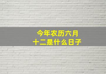 今年农历六月十二是什么日子