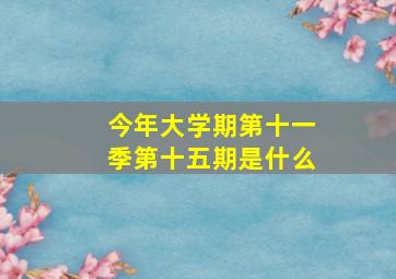 今年大学期第十一季第十五期是什么