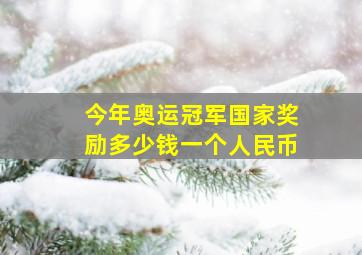 今年奥运冠军国家奖励多少钱一个人民币