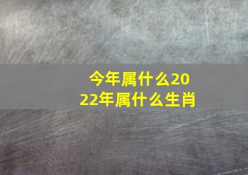 今年属什么2022年属什么生肖