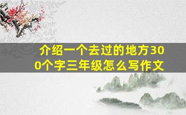 介绍一个去过的地方300个字三年级怎么写作文