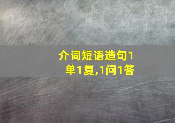 介词短语造句1单1复,1问1答