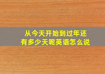 从今天开始到过年还有多少天呢英语怎么说