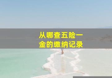 从哪查五险一金的缴纳记录