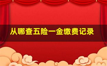 从哪查五险一金缴费记录